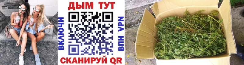 Конопля индика Сочи